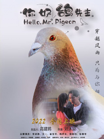 你好，鴿先生