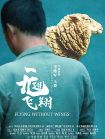 无翅飞翔