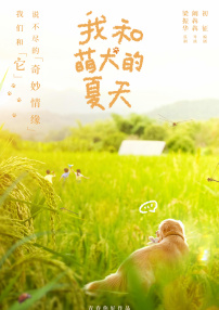 我和萌犬的夏天