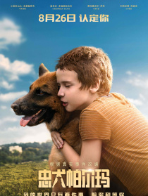 忠犬帕爾瑪