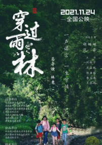 穿过雨林