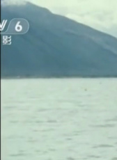 赵羽青
