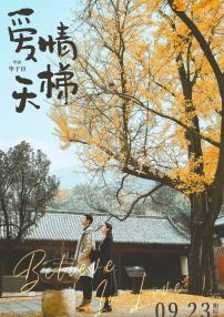 愛情天梯