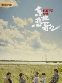 东北恋哥2