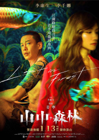 山中森林