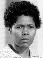 埃斯泰勒·埃文斯