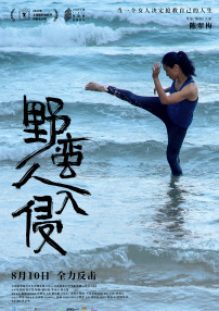 野蛮人入侵