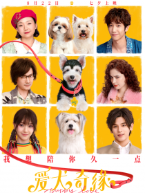爱犬奇缘