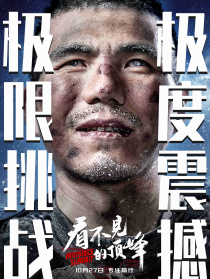 看不见的顶峰
