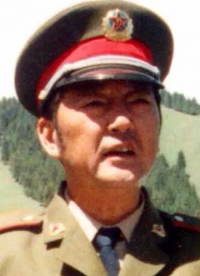 韦林玉