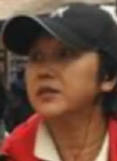 劉靜儀