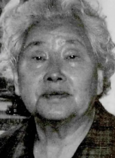 佟乃文