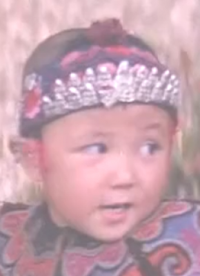 吴文斌
