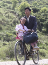 父親是棵樹