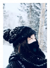 戴琪