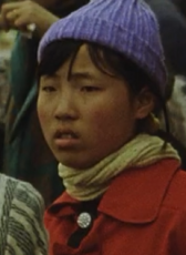 杨柳春