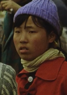 杨柳春