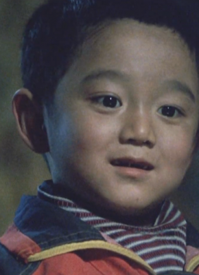 王振