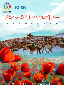 花儿为什么这样红：文化寻访记走进新疆