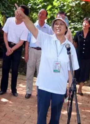 金丽妮