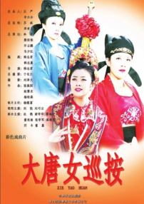 大唐女巡按