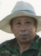 宿樹合