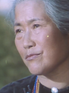 段虹