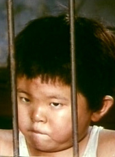 劉洋
