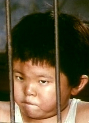 劉洋