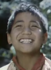 仔戈