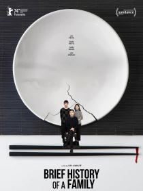 家庭簡(jiǎn)史