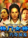 楊門女將之巧奪鳳發(fā)