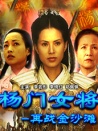 楊門女將之再戰(zhàn)金沙灘