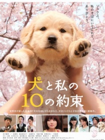 10个约定