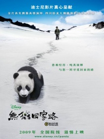 熊猫回家路