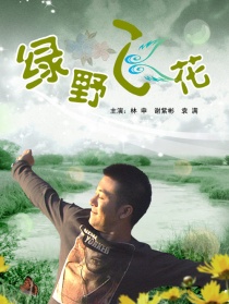 绿野飞花