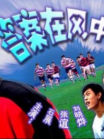 答案在風中