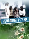 沉甸甸的十六歲