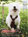 犬飼的小狗