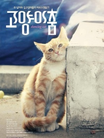 猫咪之舞