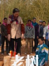 老樹(shù)