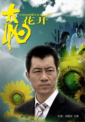 太陽(yáng)花開(kāi)