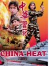 中華警花