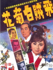 飛賊白菊花