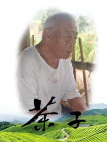 茶子