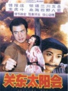 關(guān)東太陽會
