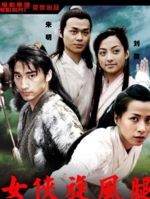 女俠旋風(fēng)腿