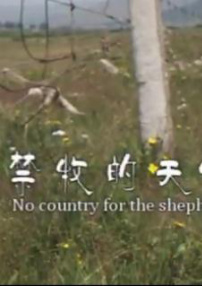 禁牧的天空