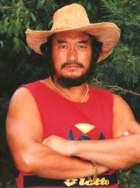 贾石头