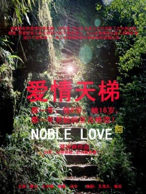 爱情天梯